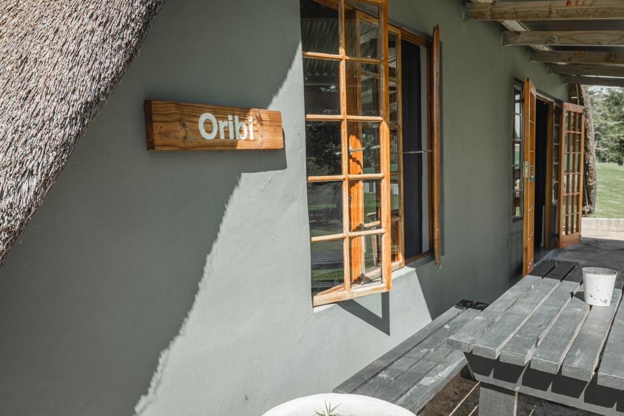 Penwarn Farm Lodge Drakensberg Garden Extérieur photo